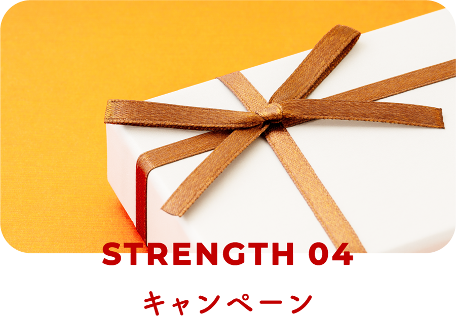 STRENGTH04|キャンペーン